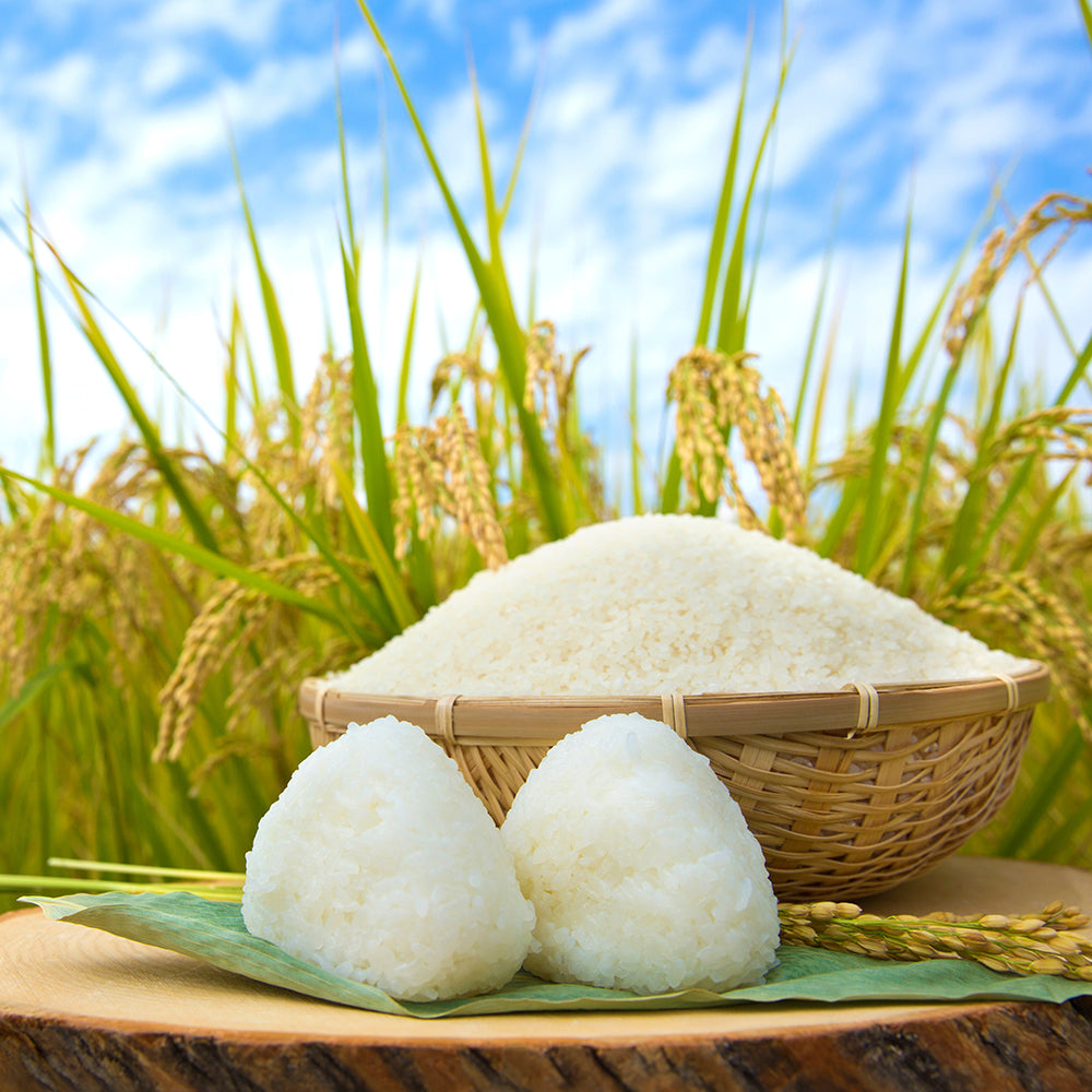 店主が選ぶおすすめのブレンド米